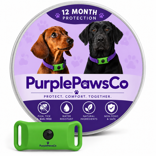 12 Months All Natural Flea and Tick Tags for Dogs